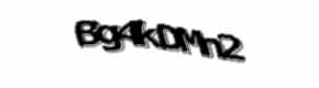 Security check image, please type the characters shown